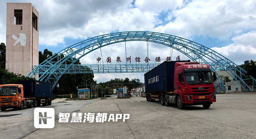 集拼出海，技術貿易雙驅動 前7個月泉州市保稅物流進出口突破百億大關